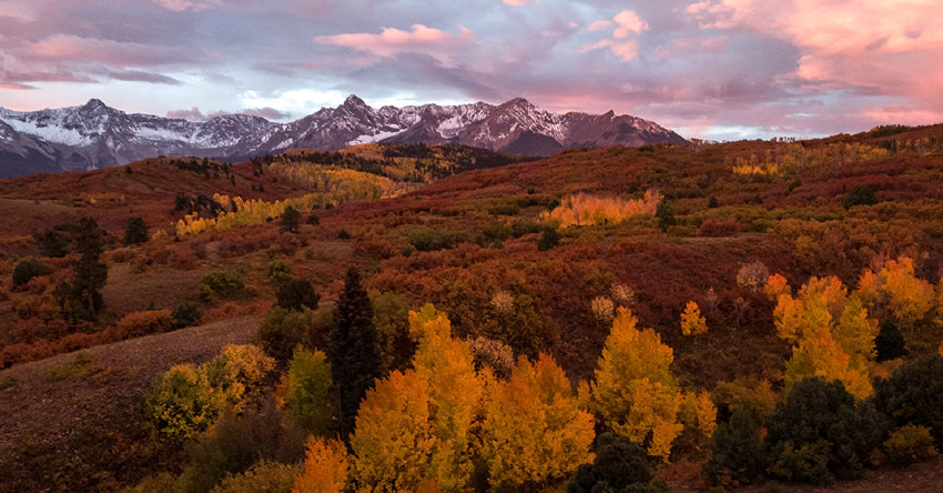 Discover The Cost Of Shipping From Korea To The Us With Dhl